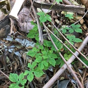 Meet your Posher, Markus